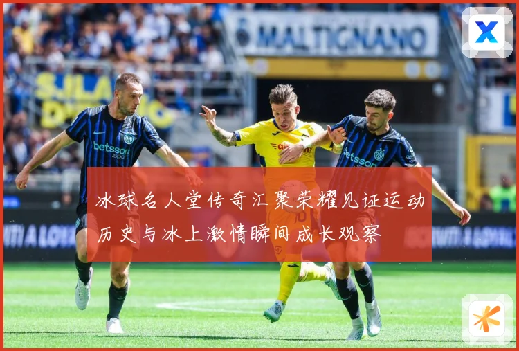 冰球名人堂传奇汇聚荣耀见证运动历史与冰上激情瞬间成长观察
