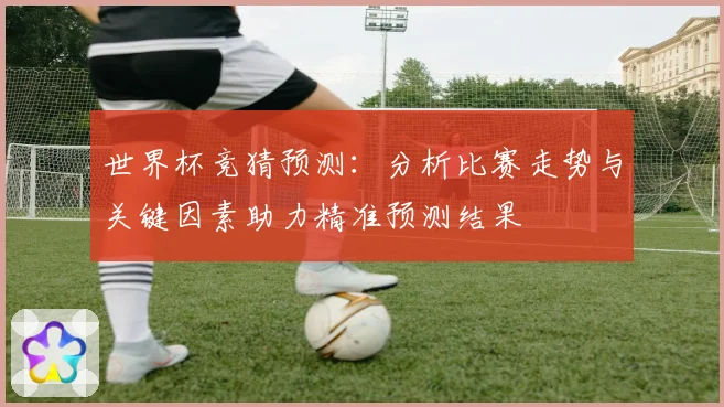 世界杯竞猜预测：分析比赛走势与关键因素助力精准预测结果
