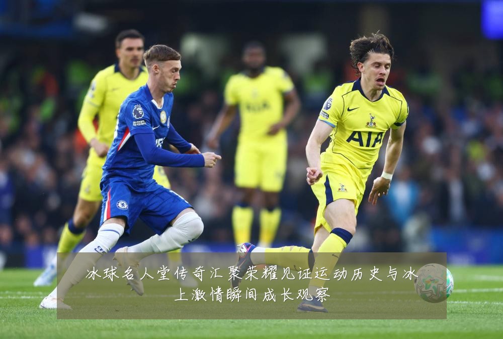 冰球名人堂传奇汇聚荣耀见证运动历史与冰上激情瞬间成长观察